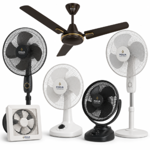 Fans