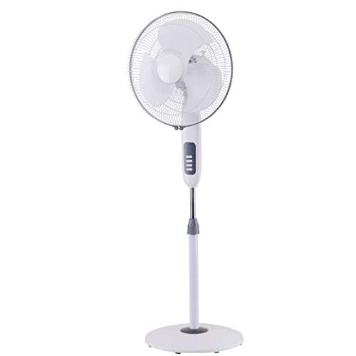 Anchor by Panasonic Rapido High Speed Pedestal Fan | 400 mm High Speed Pedestal fan (2 Yrs Warranty) (Grey, 1 Piece)
