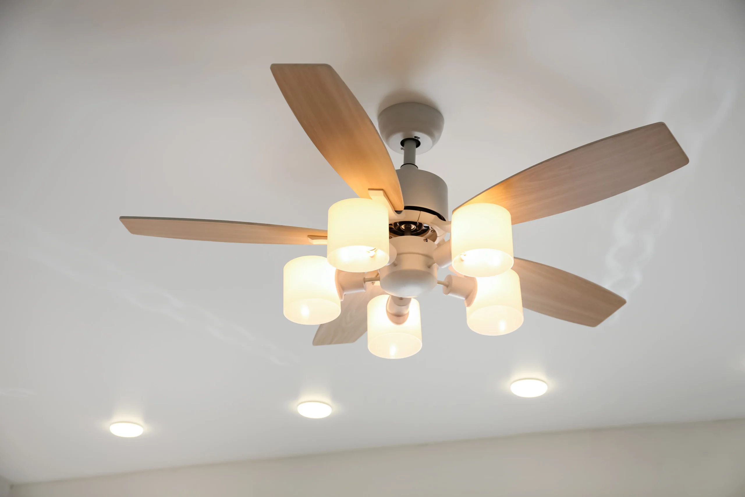 Ceiling Fans
